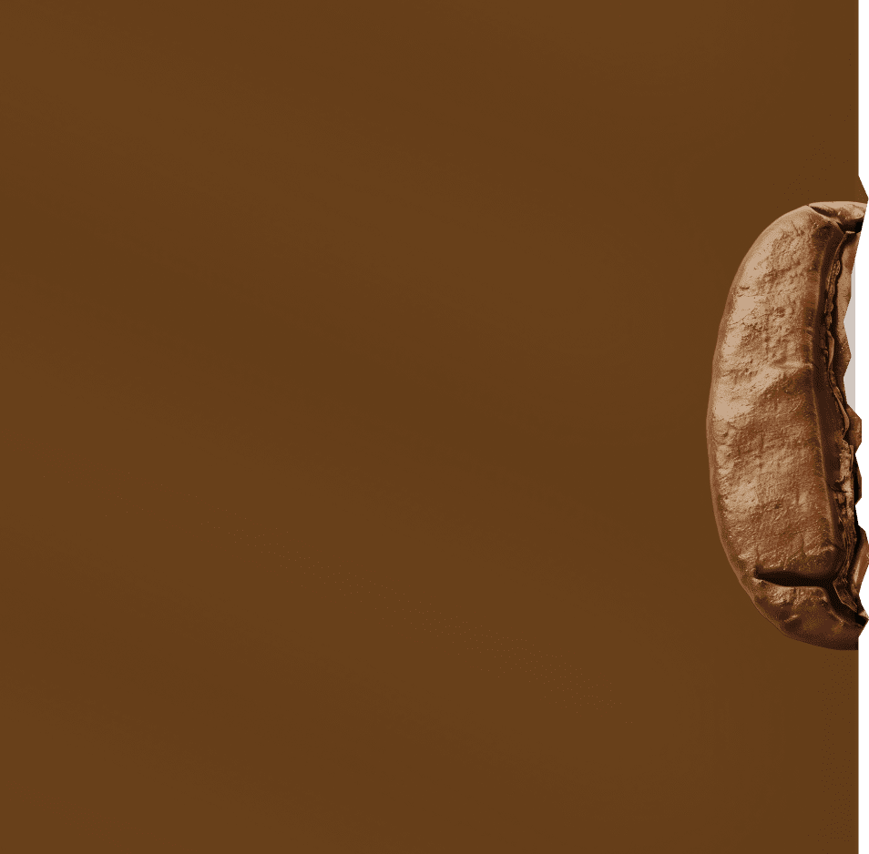 Coffee Bean Left